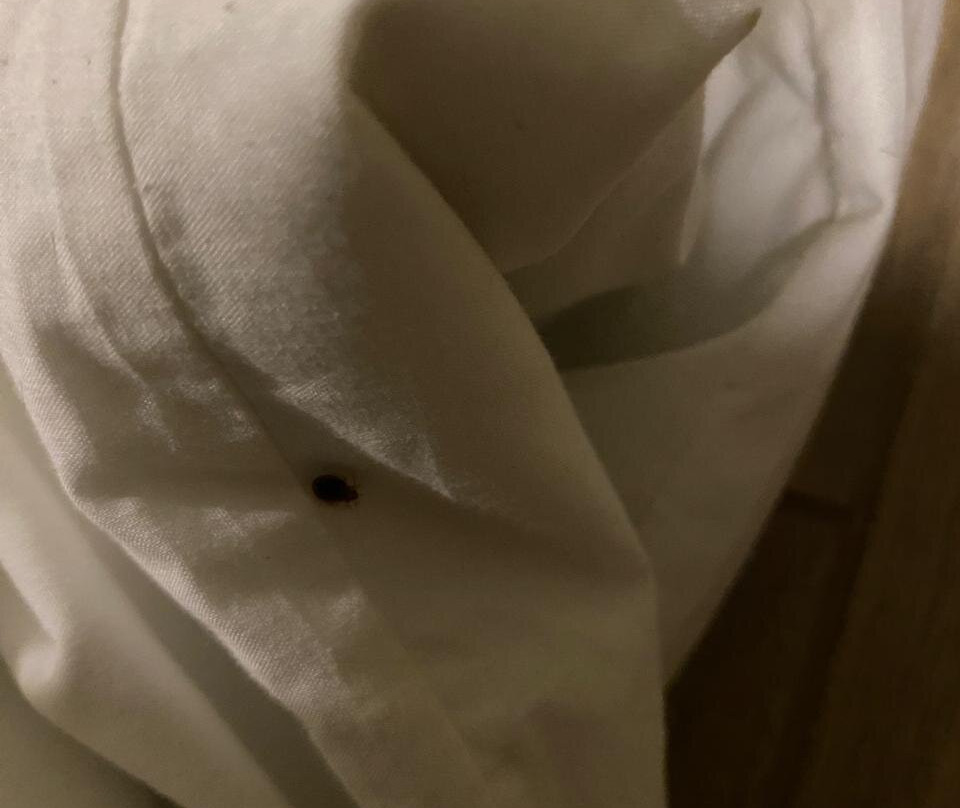 Hotel El Tesoro De Elqui主图