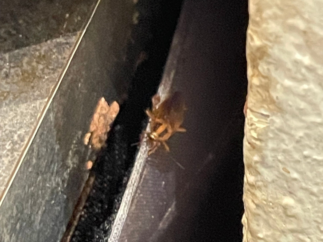 Navarria Blue Hotel主图