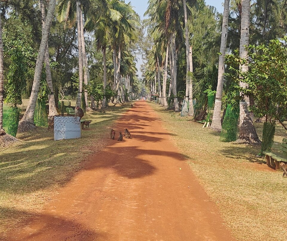 Bhitarkanika Wildlife Sanctuary景点图片