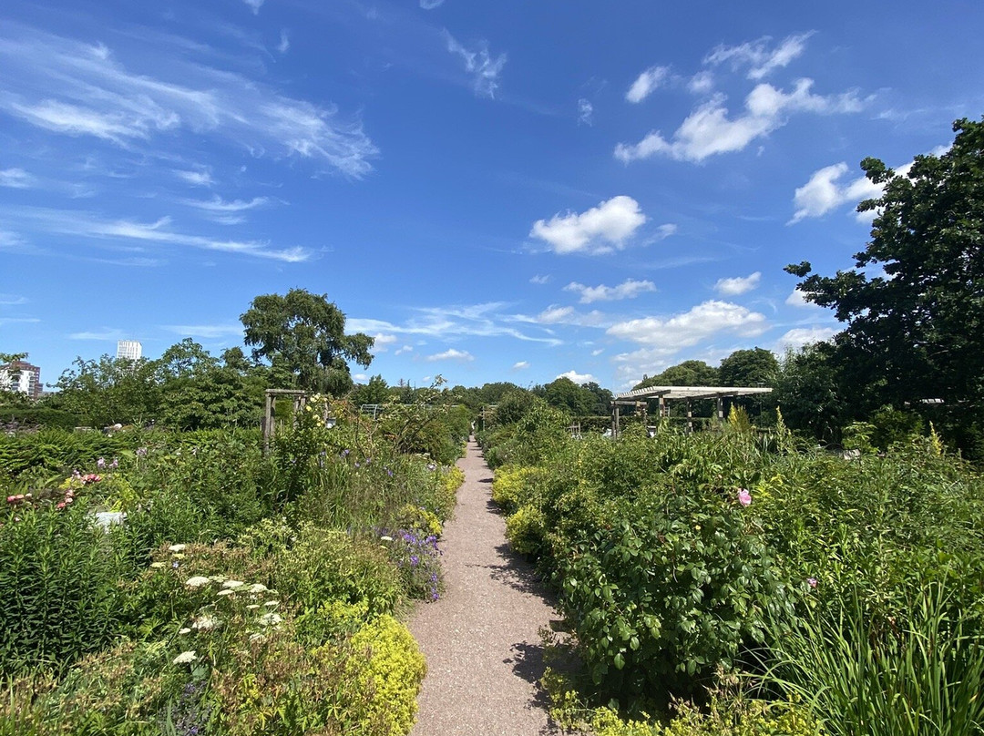 Slottstradgarden-马尔默必去景点