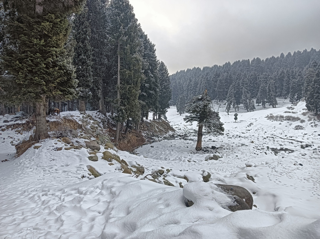 Doodhpathri-斯利那加必去景点