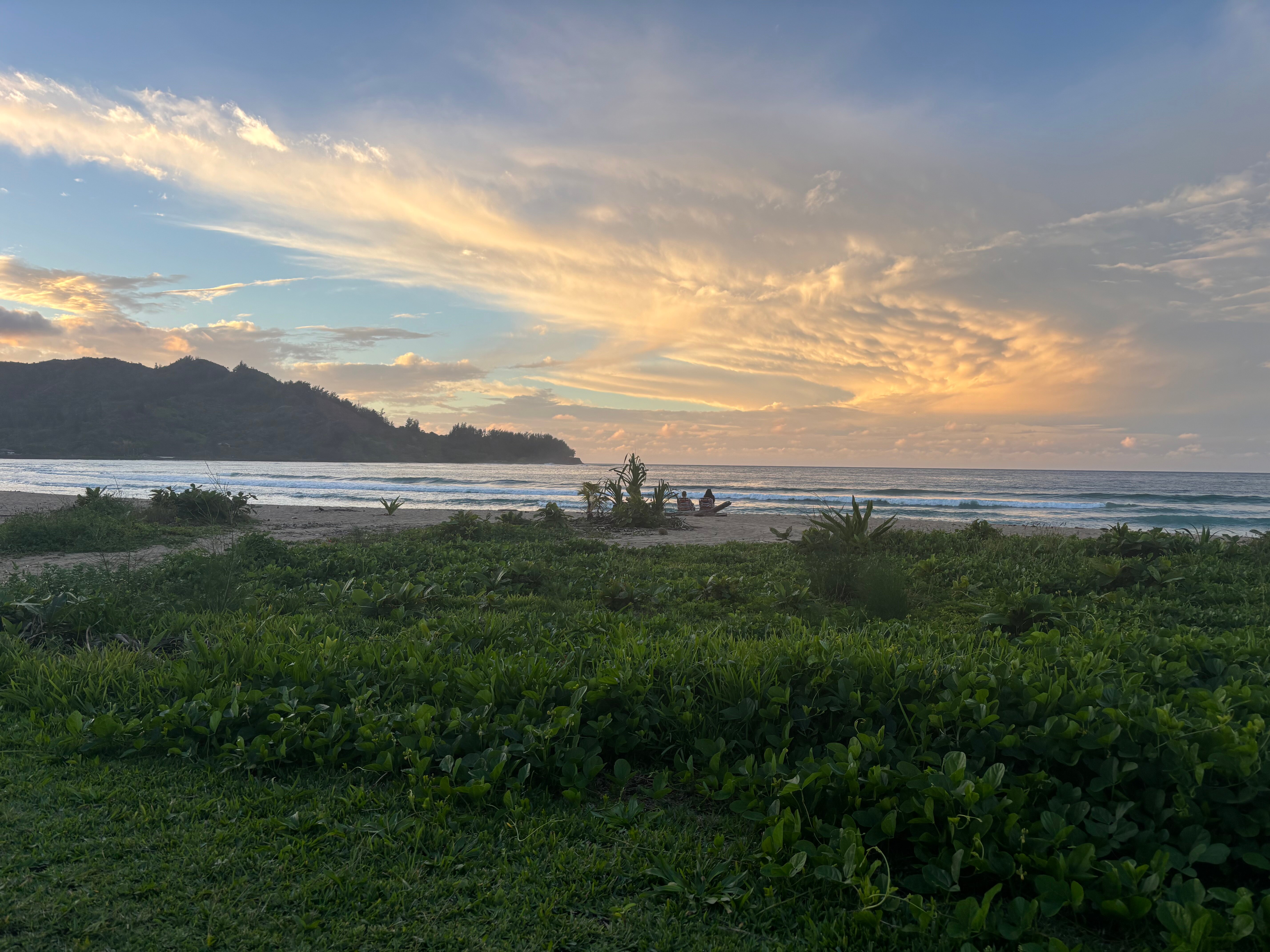 Hanalei Surfboard House-泳池