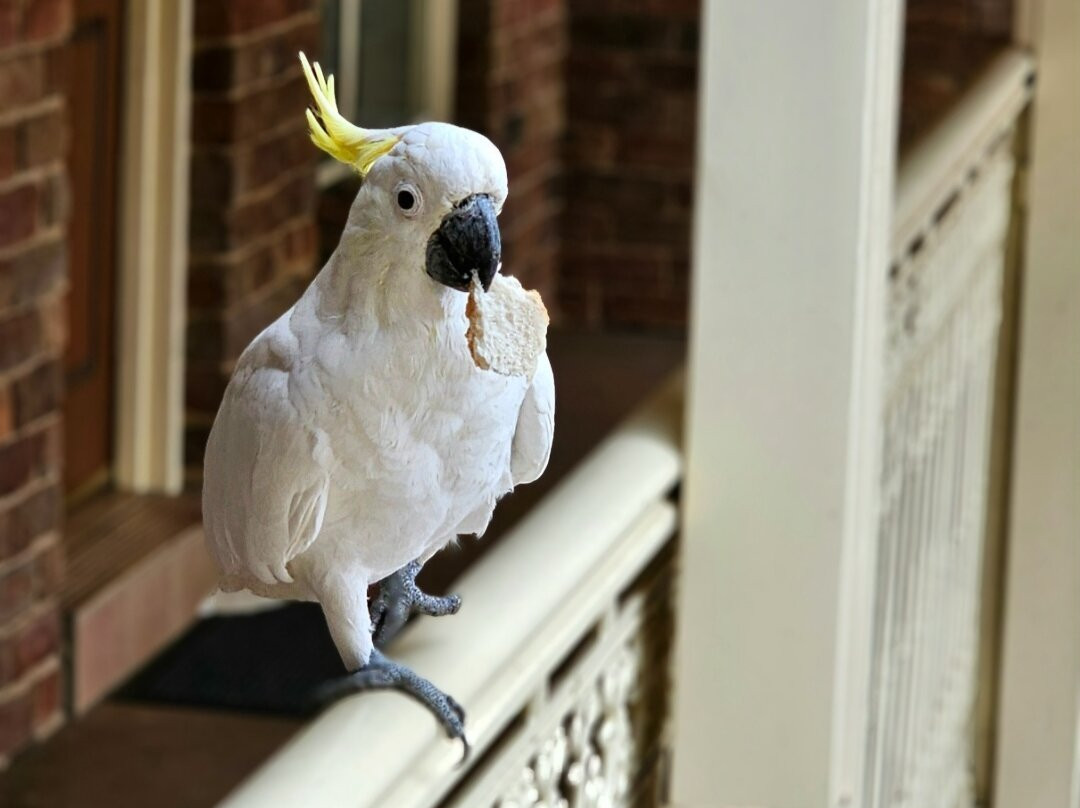 Abel Tasman Motor Inn主图