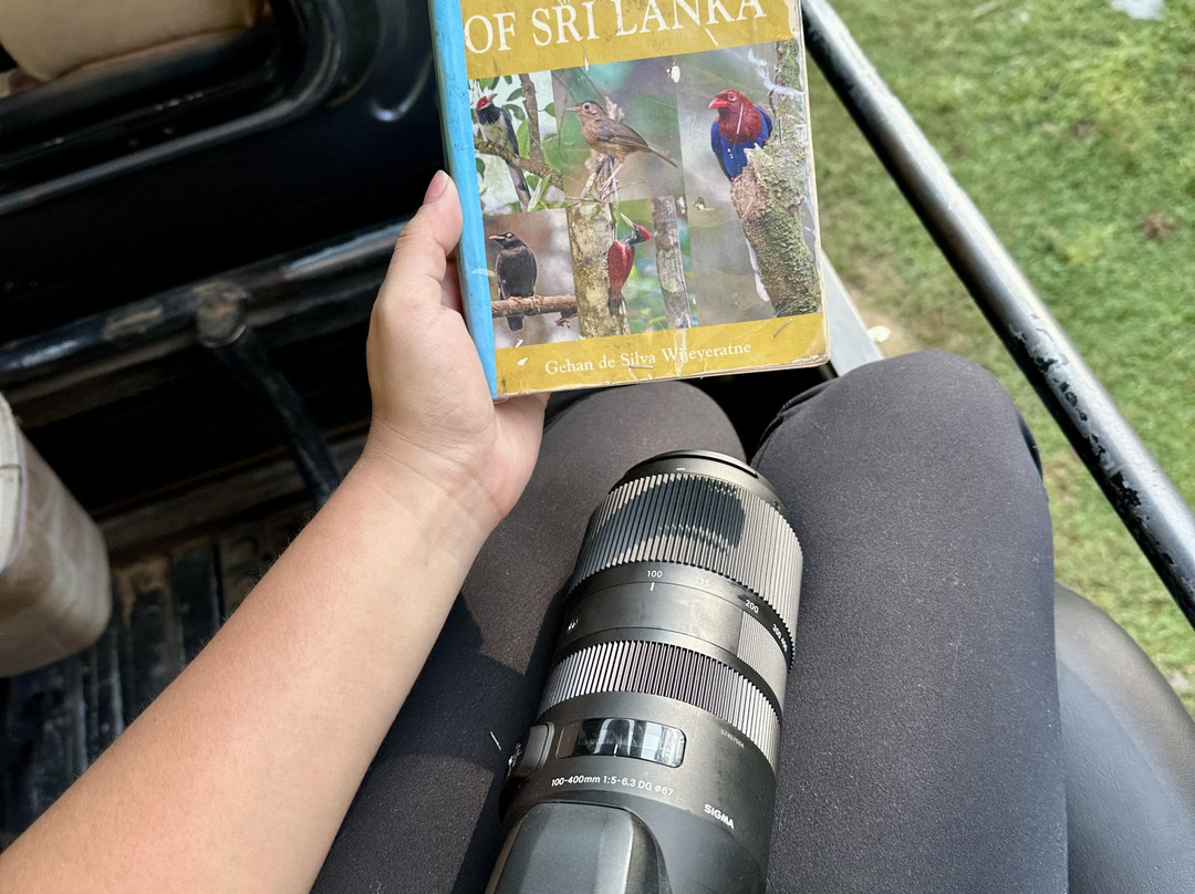 Majestic Safari Yala-蒂瑟默哈拉默必去景点