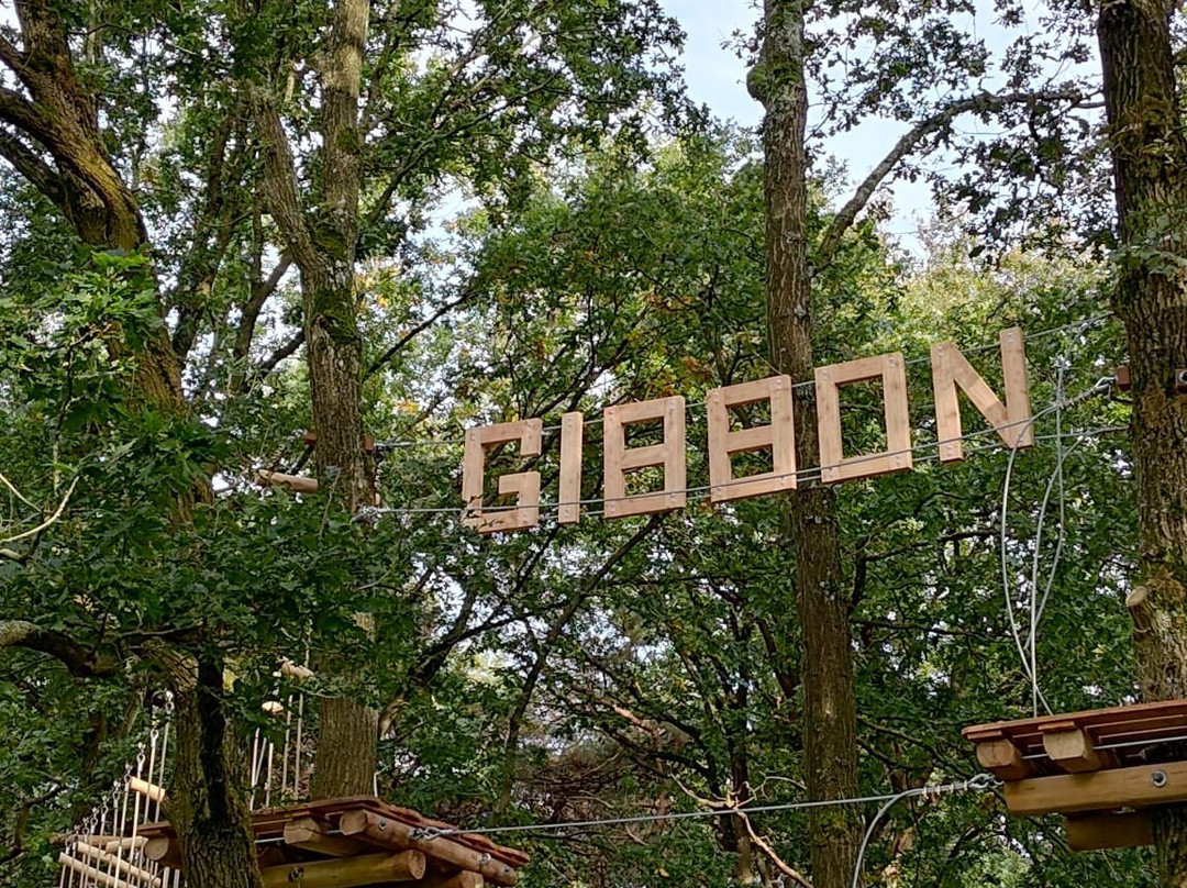 GibbonSport景点图片