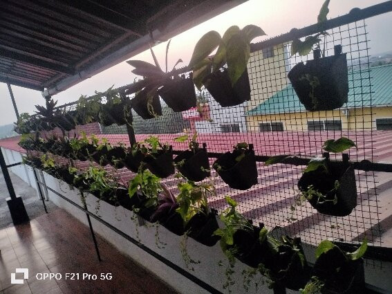 Treebo Sans Sarav Kushalnagar主图