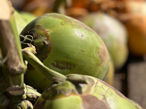 Ravi and Sons Tours-哈普特莱必去景点