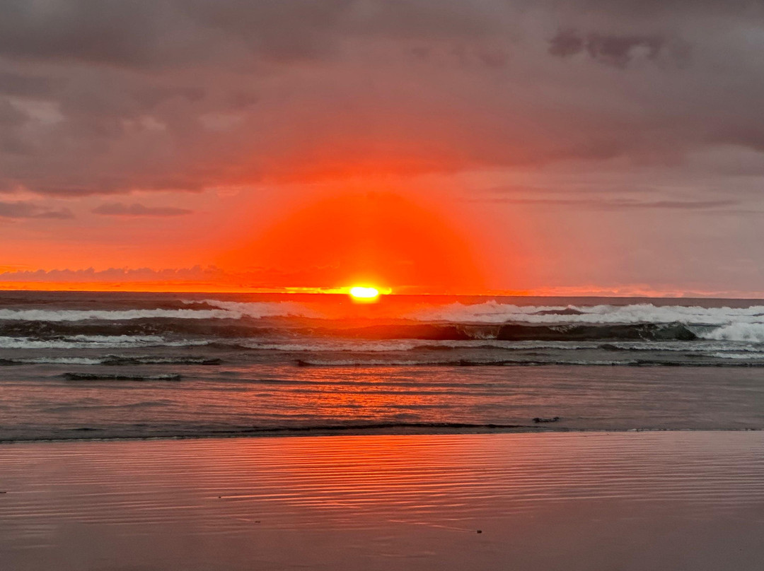 Palmetto Lodge主图