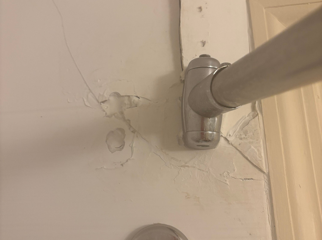 北坦帕希尔顿花园酒店主图