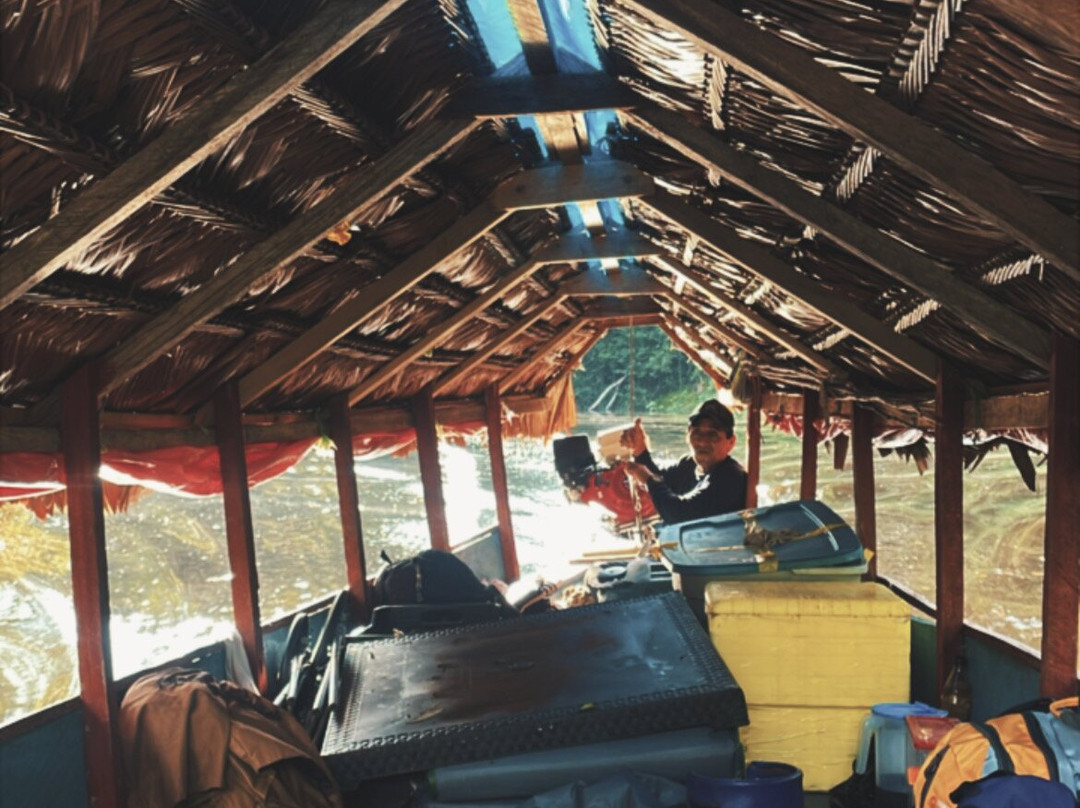 Amazon Golden Snake-伊基托斯必去景点