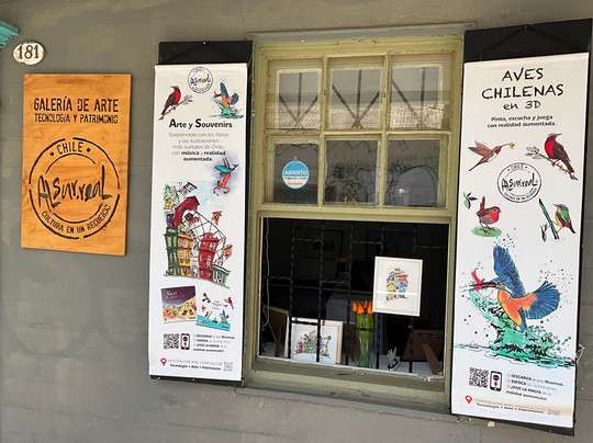 Galería Al Sur.real-瓦尔帕莱索必去景点