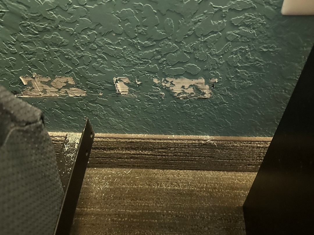 La Quinta Inn & Suites By Wyndham Sebring主图