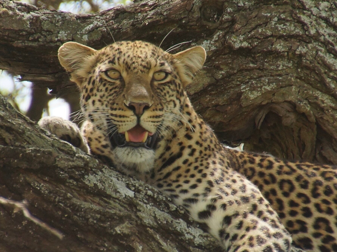 Sense of Africa, Namibia-温德和克必去景点