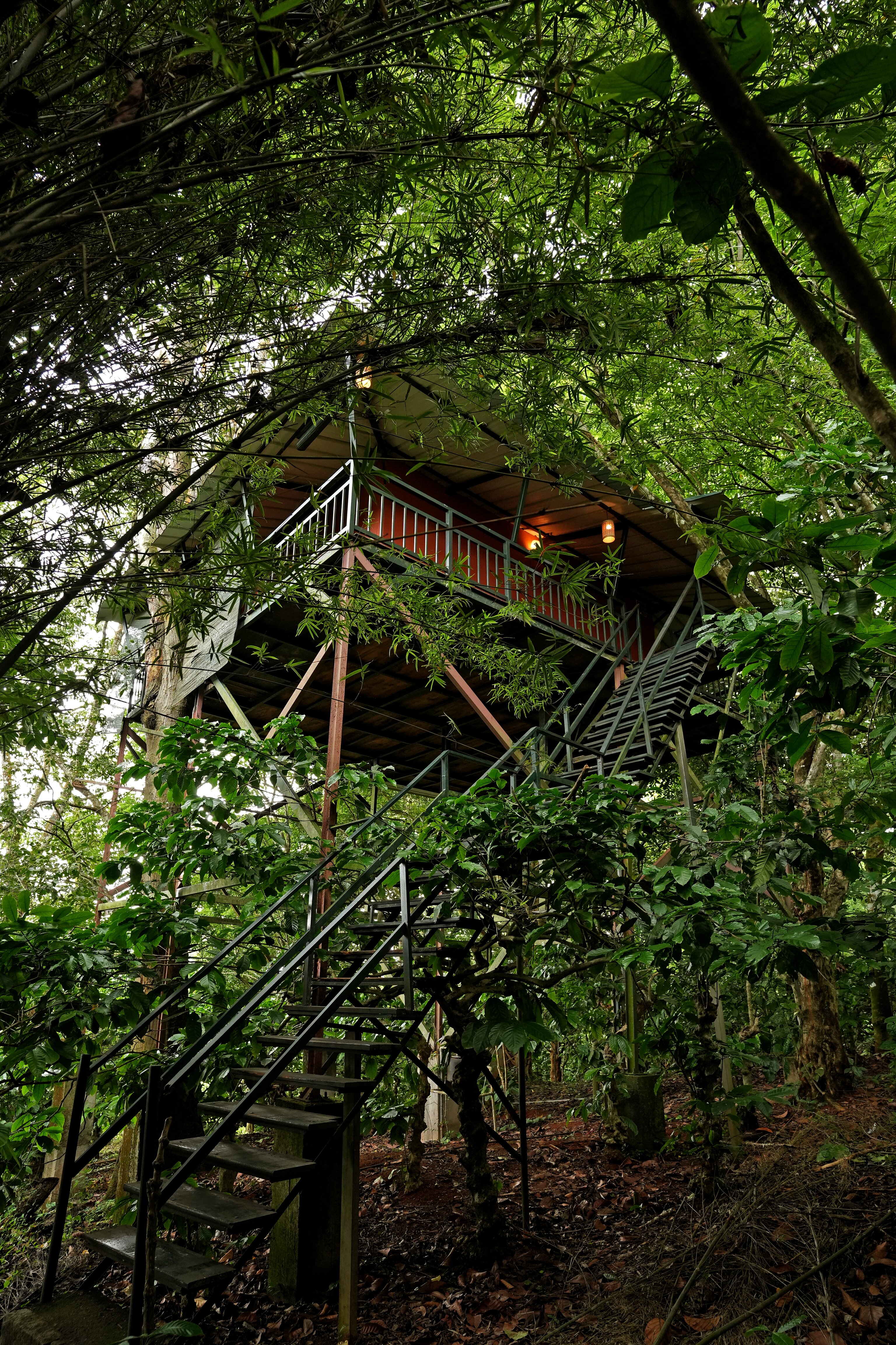 Coffee Acres Plantation Resort-客卧