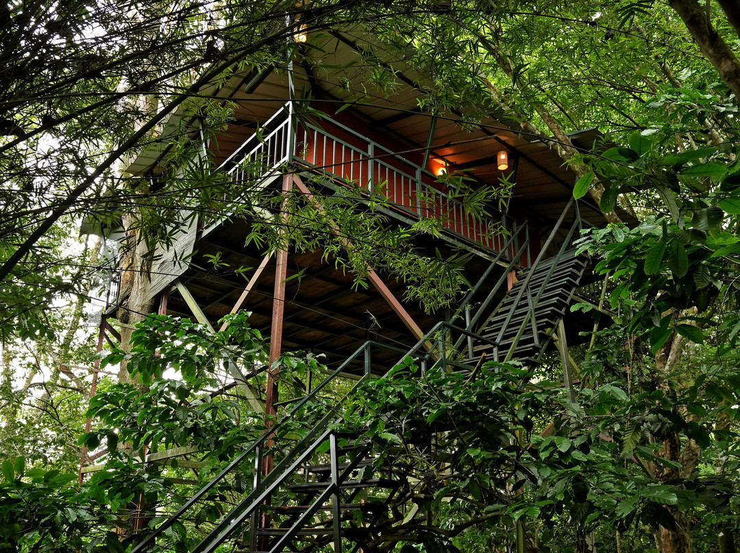 Coffee Acres Plantation Resort主图