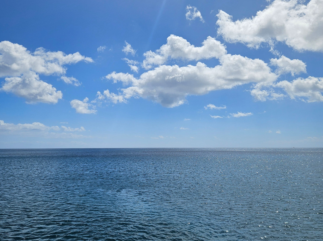 Sealand The Absolut Tour景点图片