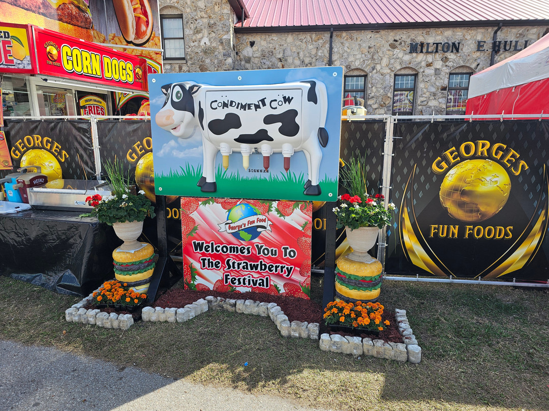 Florida Strawberry Festival-普兰特城必去景点