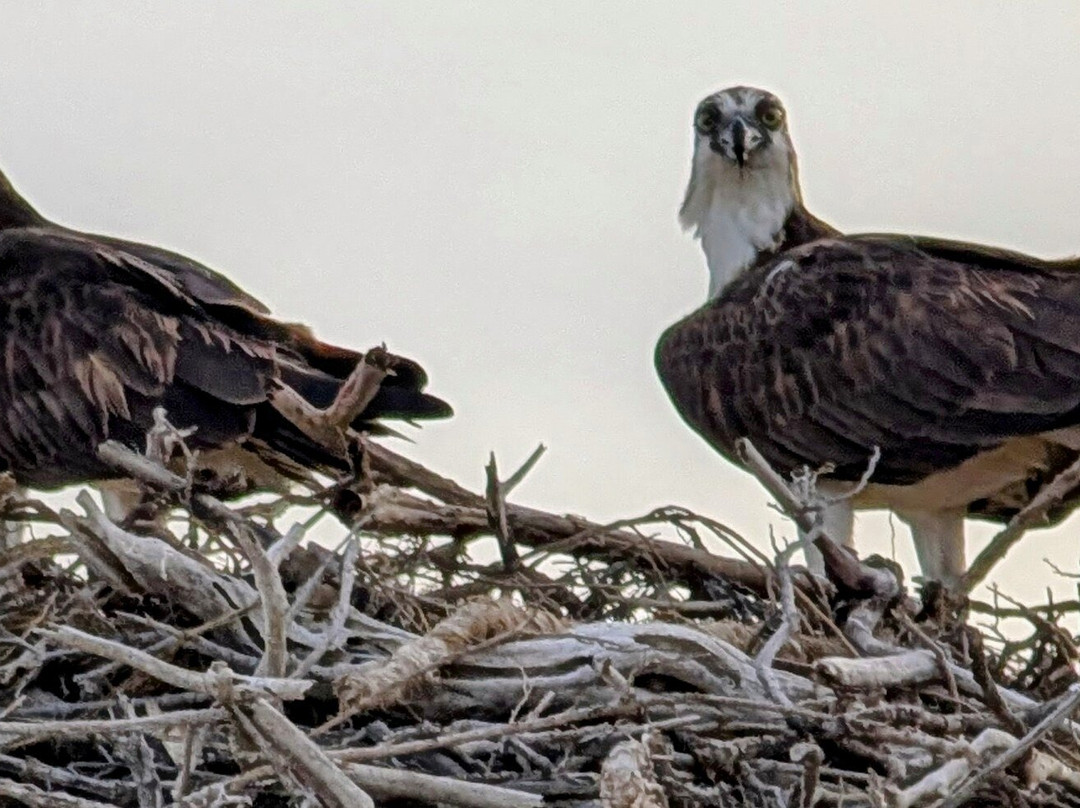 Baja Ecotours-San Ignacio必去景点