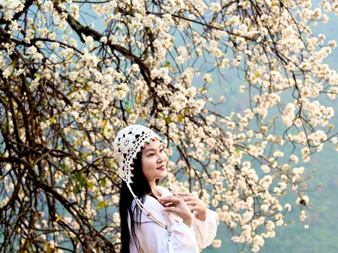 Bản Nậm Nghiệp景点图片