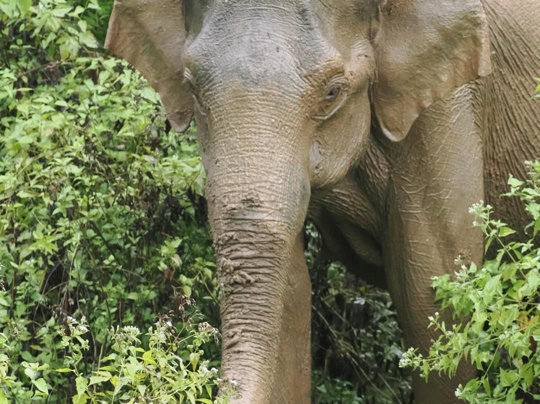 Ceylon Culture And Nature景点图片
