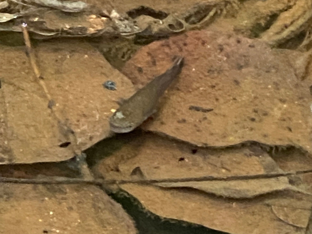 Eureka Natural History Tours-斯卡伯勒必去景点
