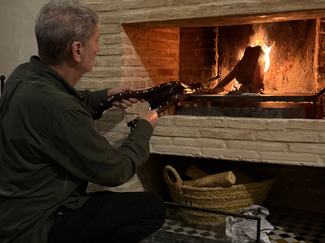 阿鲁萨里亚德酒店主图