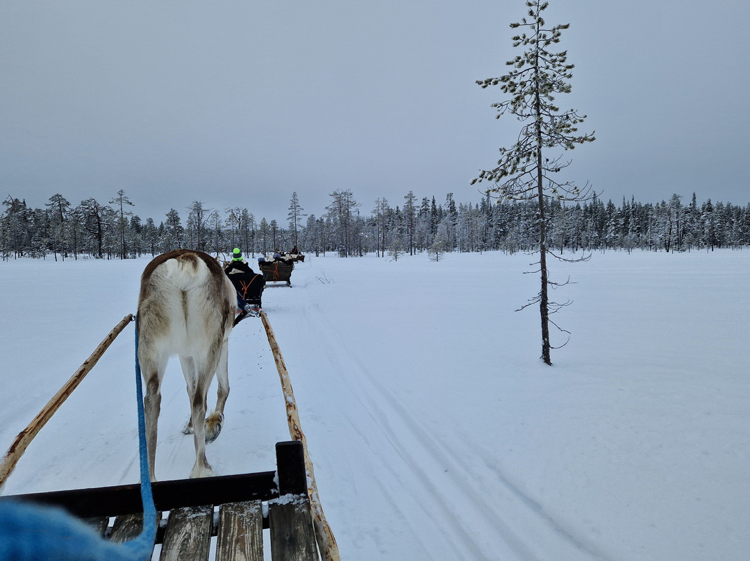 Salla Wilderness Park-Salla必去景点