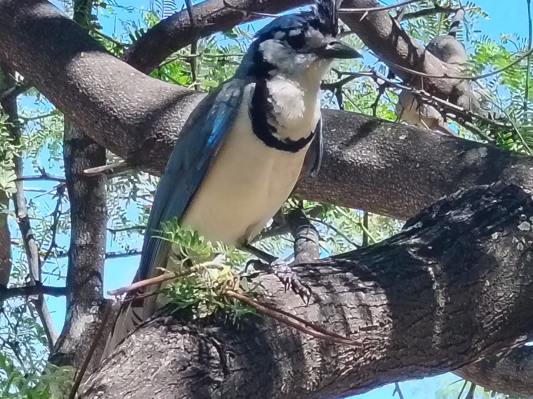 Nandel Beach Resort主图