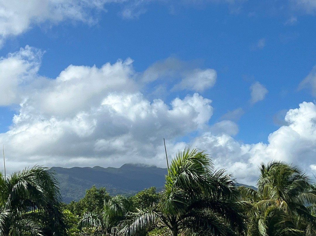 Margaritaville Vacation Club At Wyndham Rio Mar主图