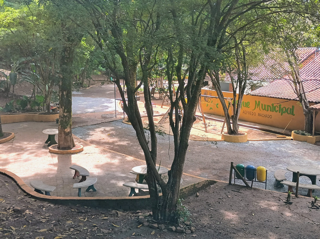 Bosque Municipal De Sábara景点图片