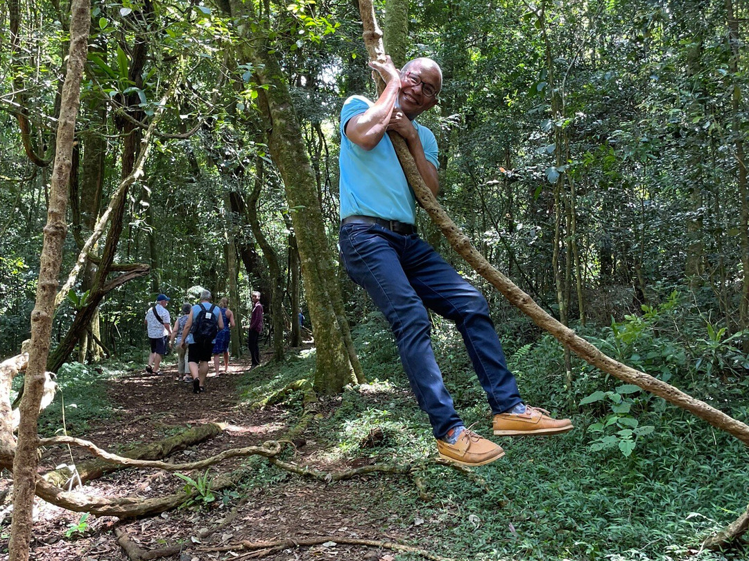 Dodi's Lemur Tours-Tolanaro必去景点