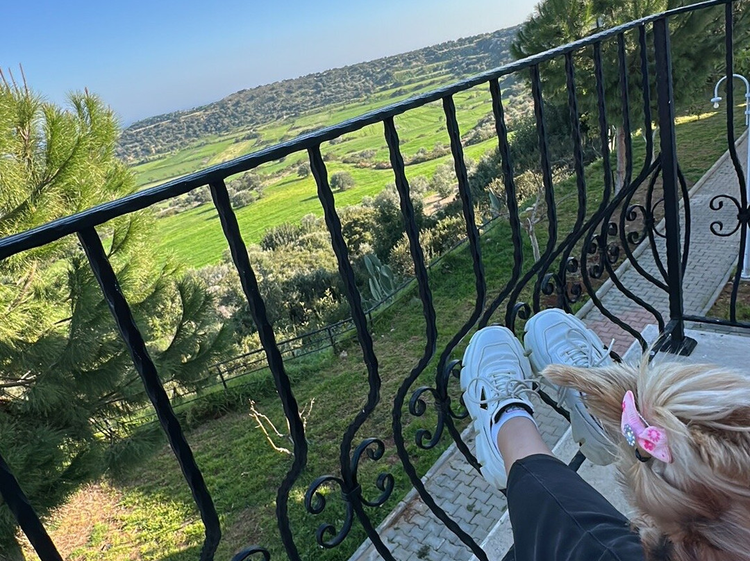 Celebi Garden Hotel主图