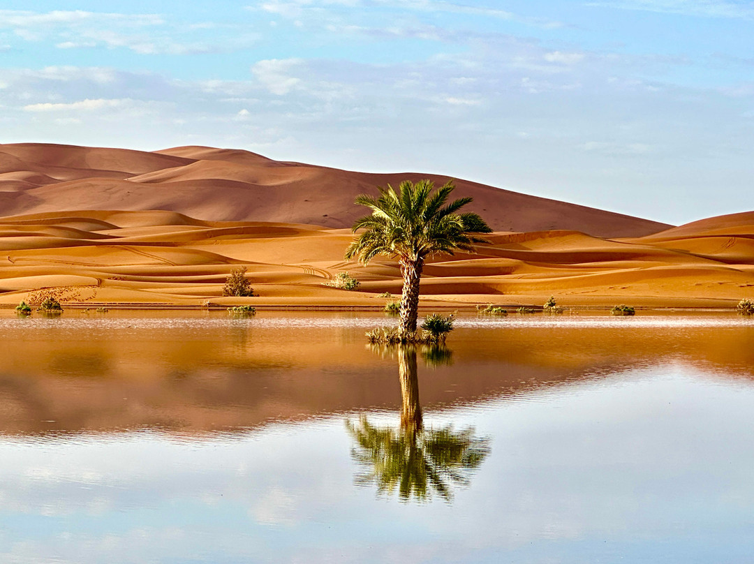 Morocco Berber Trips景点图片