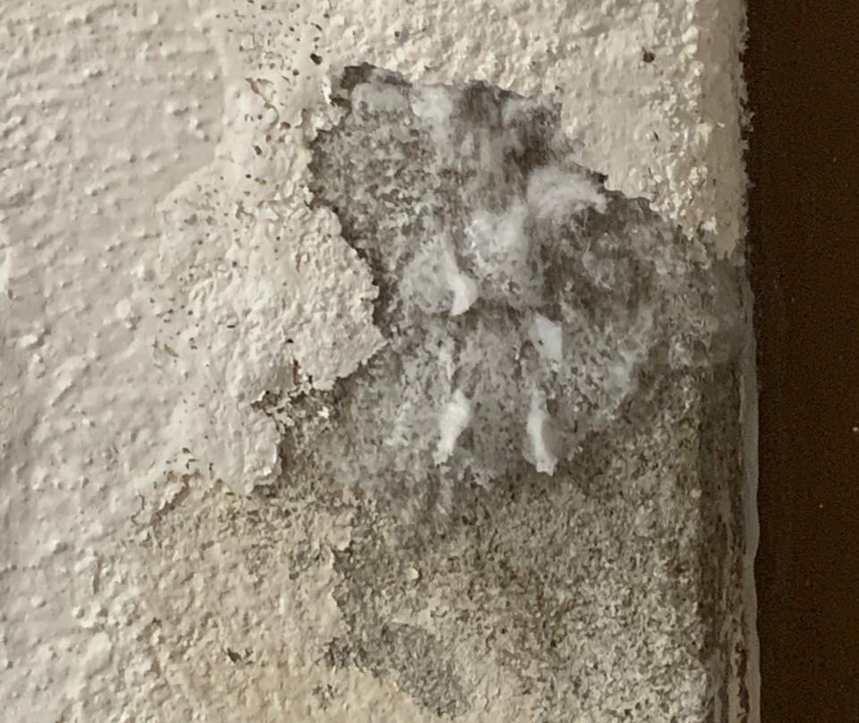 Gran Festivall All Inclusive Resort主图