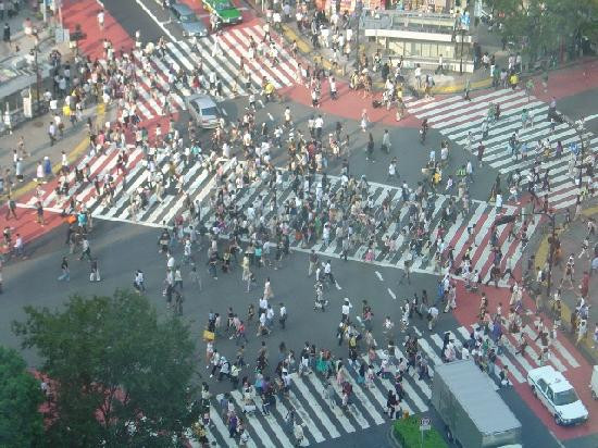 东急涩谷卓越酒店主图