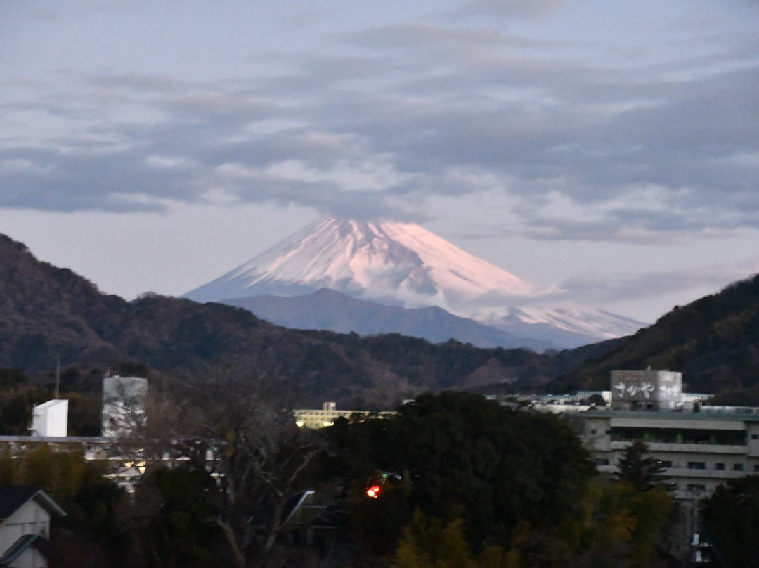 新八景园酒店主图
