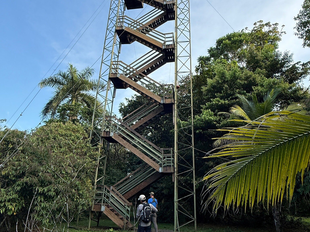 Tranquilo Bay Eco Adventure Lodge主图