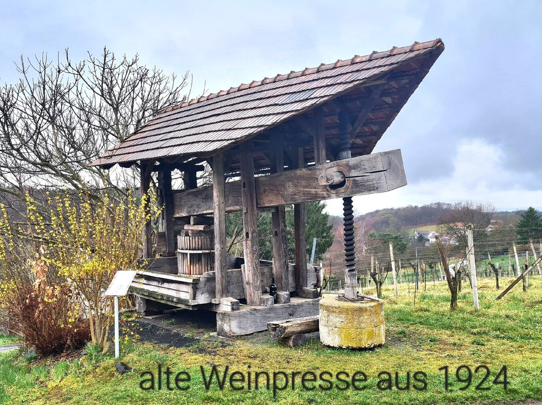 Klocher Traminerweg-Kloch必去景点