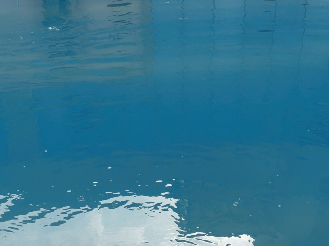 The Fern Residency, Karad主图