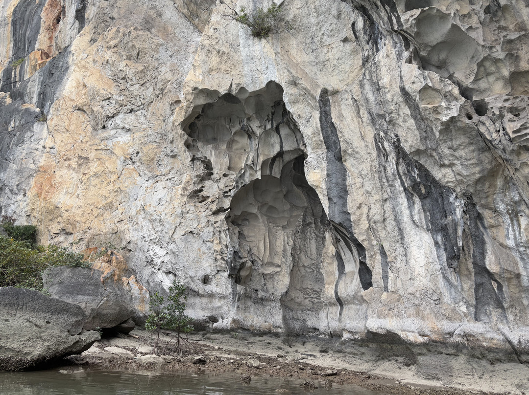 Cua Van Floating Village-下龙湾必去景点