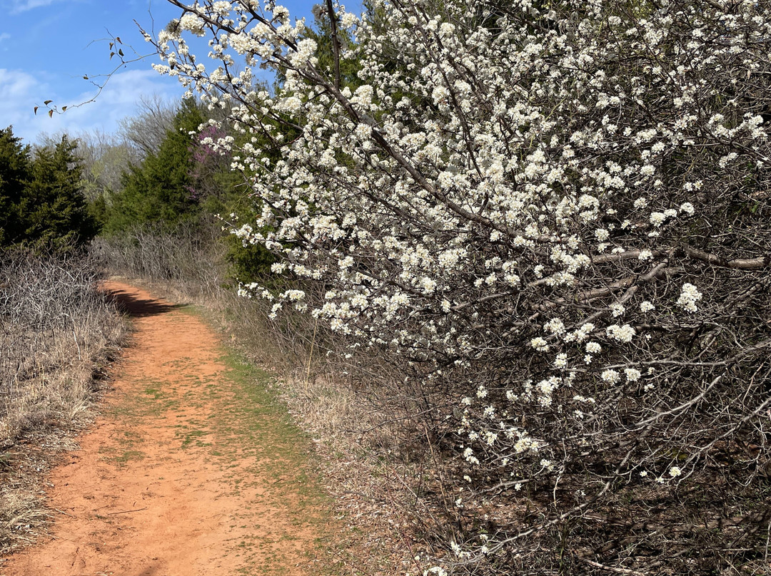 Mitch Park-埃德蒙必去景点