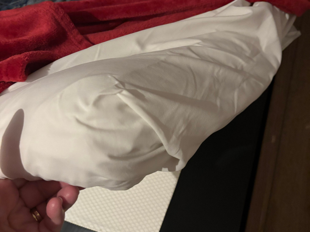 Chogogo Dive & Beach Resort Bonaire主图