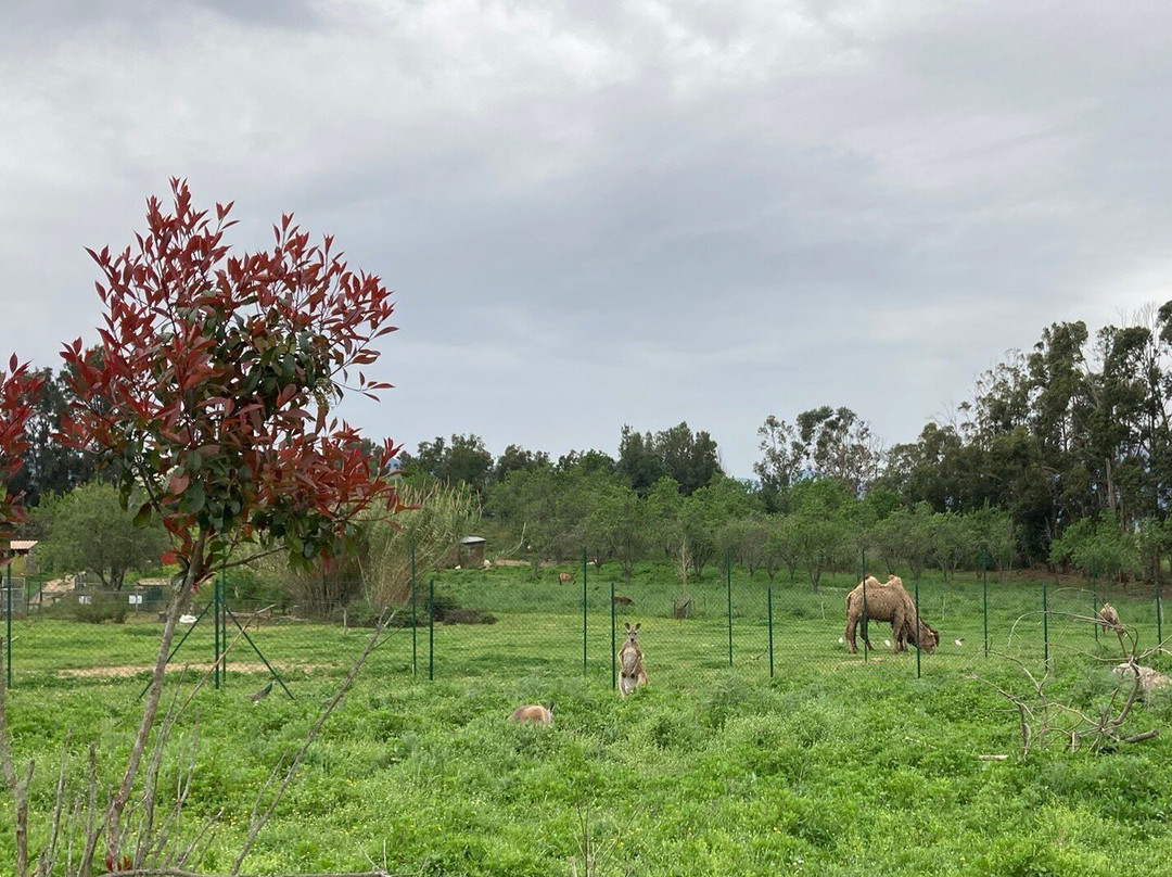 Corsica Zoo