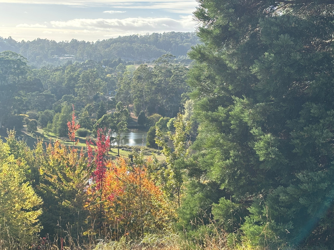 Beauty Point Cottages B&B主图