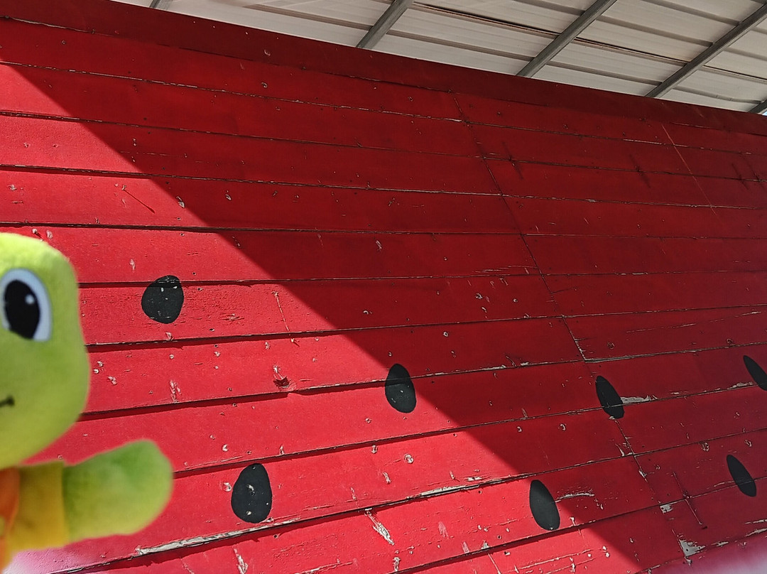 Land Art - The Ratio and Elements-格林河必去景点