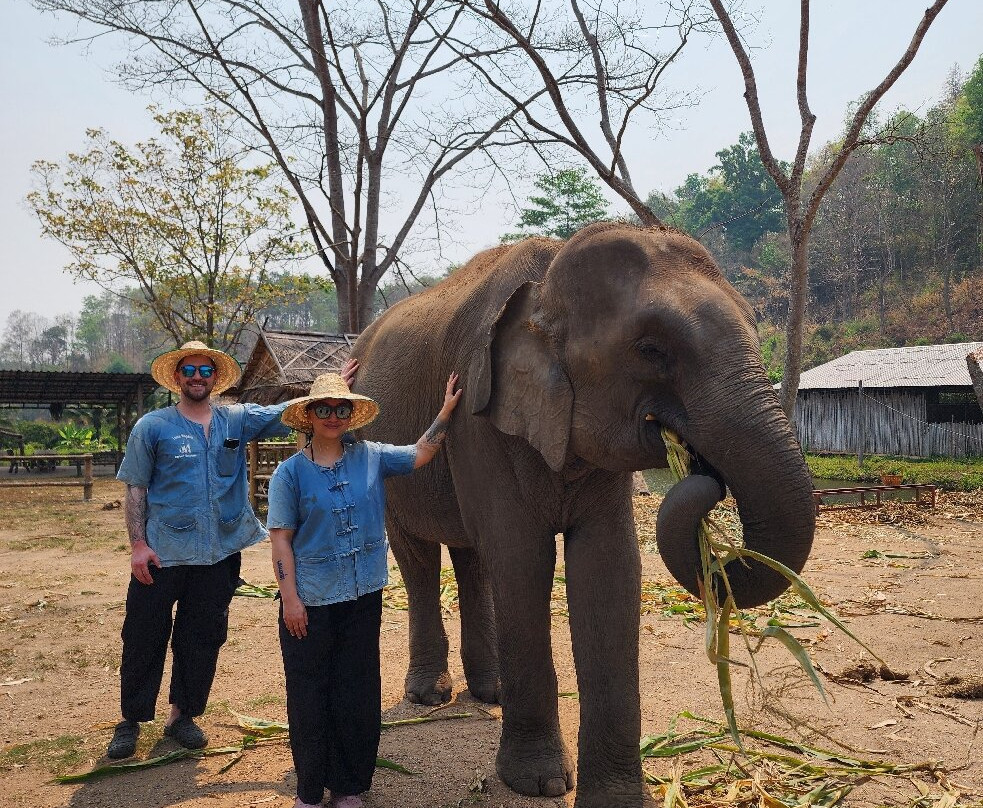 Lanna Kingdom Elephant Sanctuary-清迈必去景点