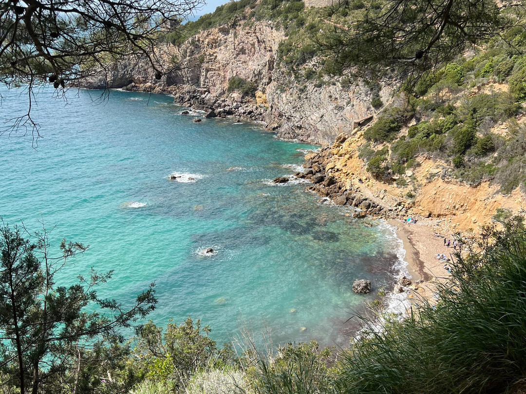 Cala del Gesso景点图片