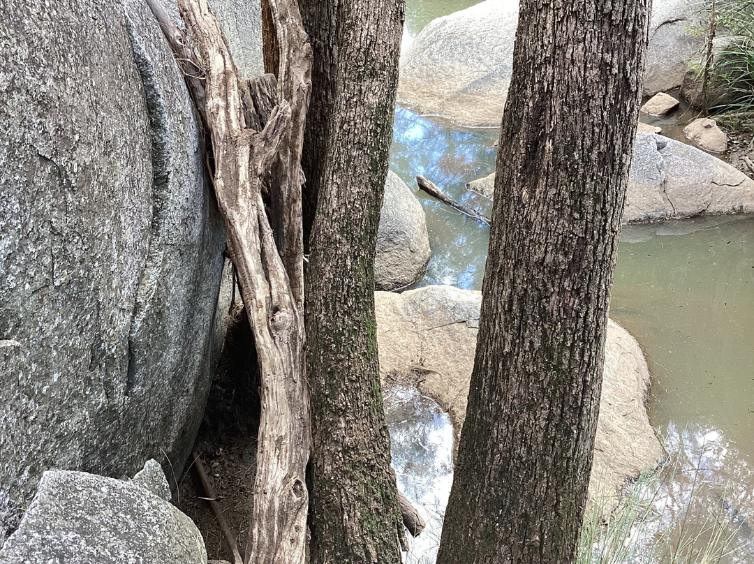 Coomba Falls-Maidenwell必去景点