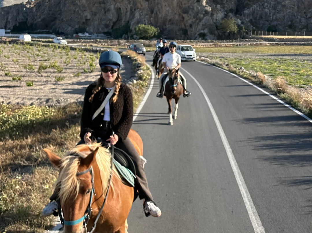 Efippos Horse Farm-维查德必去景点