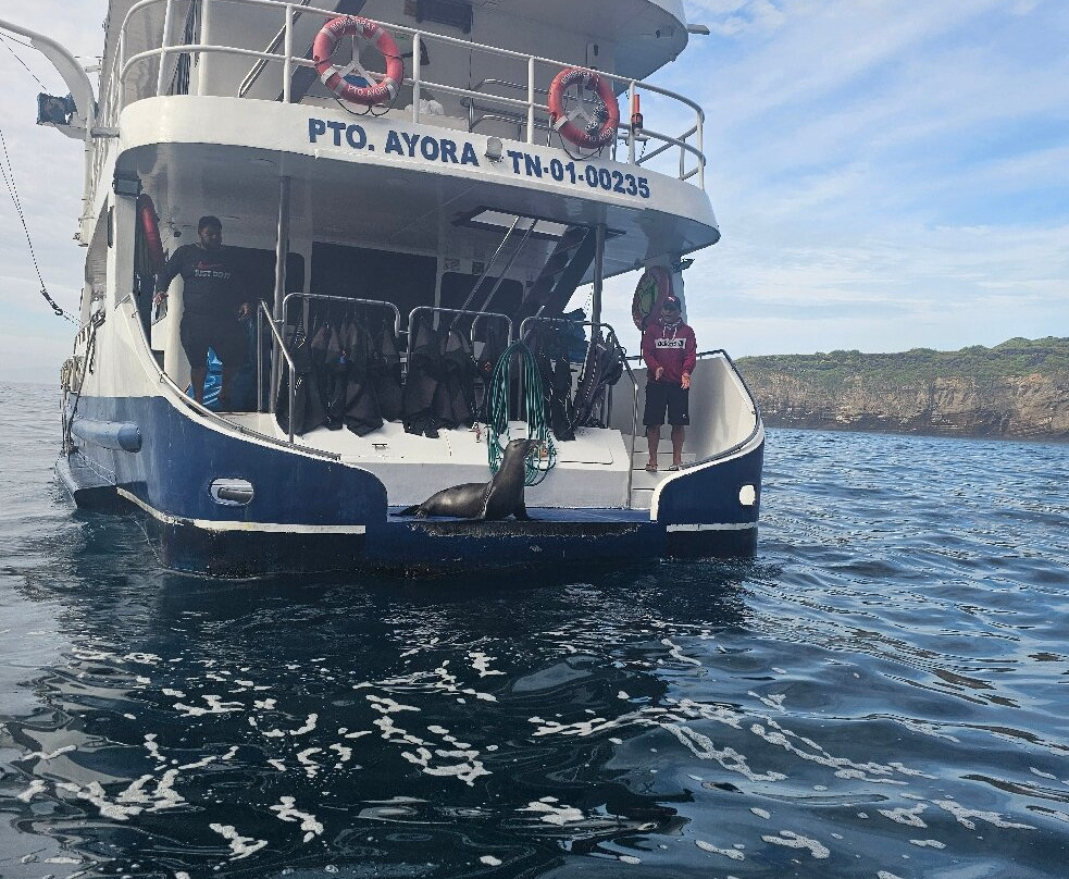 Monserrat Galapagos Cruises-阿约拉港必去景点